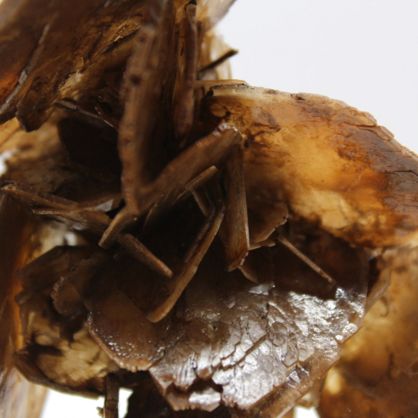 Microcristais de barita do Marrocos