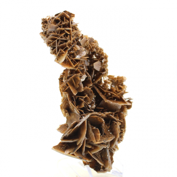 Cristais dourados de barita marroquina