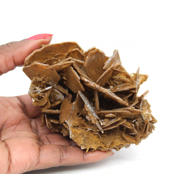 Cristalização marrom de barita do Marrocos