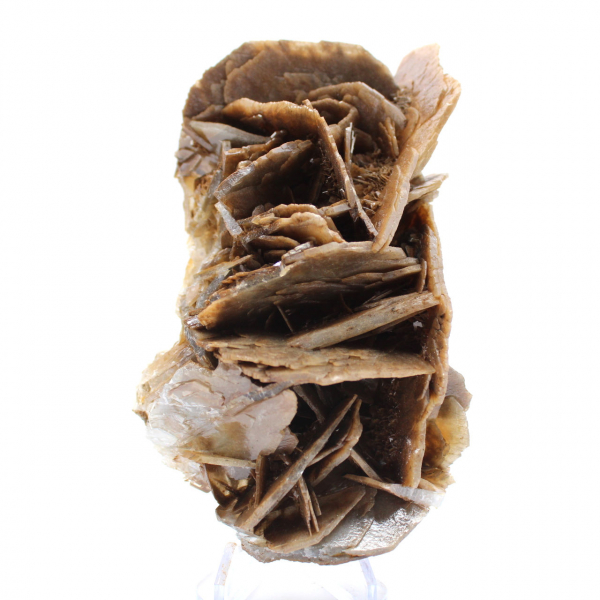 Cristais de barita marrom do Marrocos