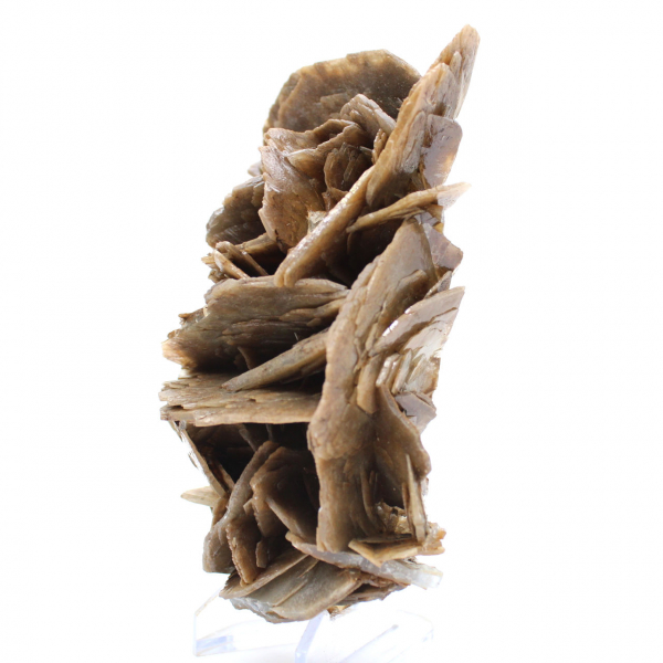 Cristais de barita marrom do Marrocos