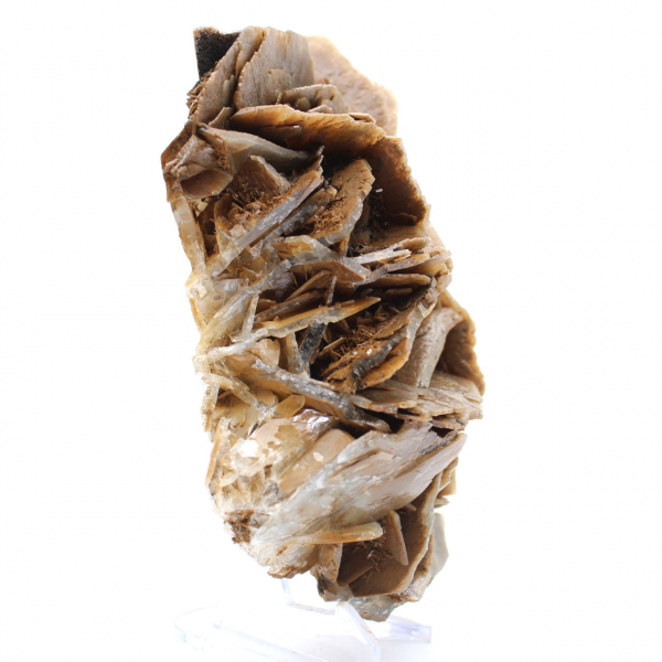 Cristais de barita marrom do Marrocos