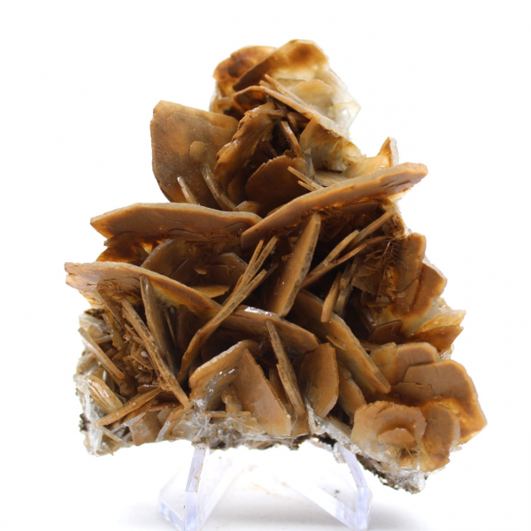 Cristais marrons de barita de Ouichane