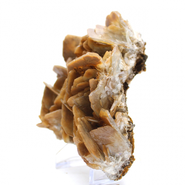 Cristais marrons de barita de Ouichane