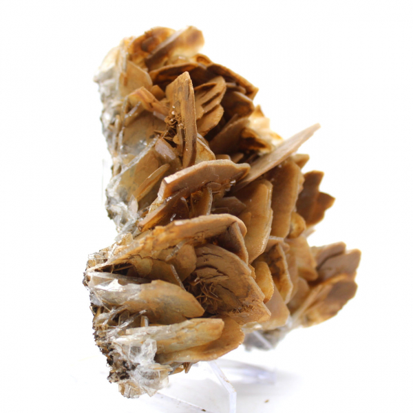 Cristais marrons de barita de Ouichane