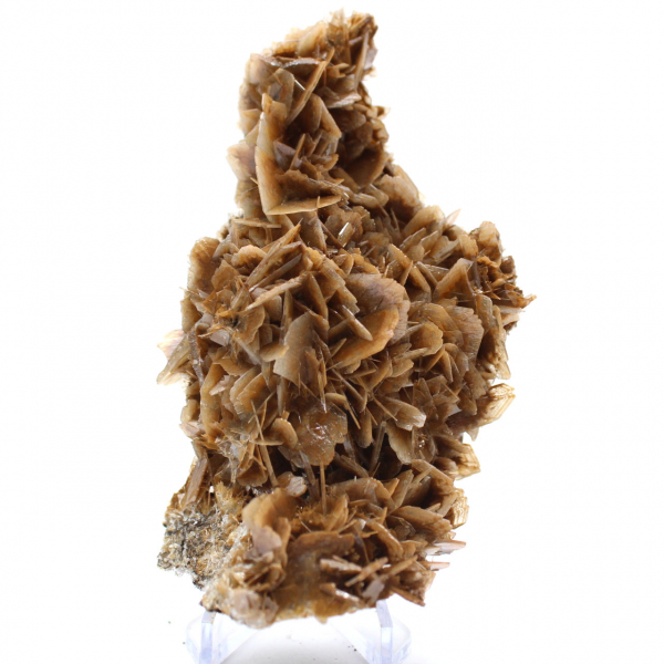 Moeda marroquina de barita com cristais marrons