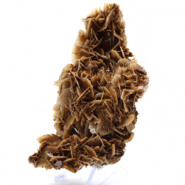 Moeda marroquina de barita com cristais marrons