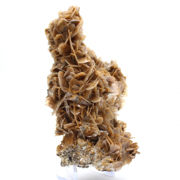 Moeda marroquina de barita com cristais marrons