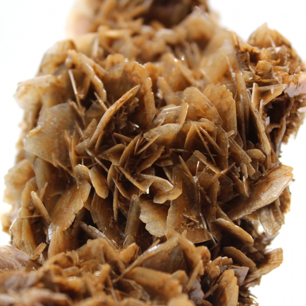 Moeda marroquina de barita com cristais marrons