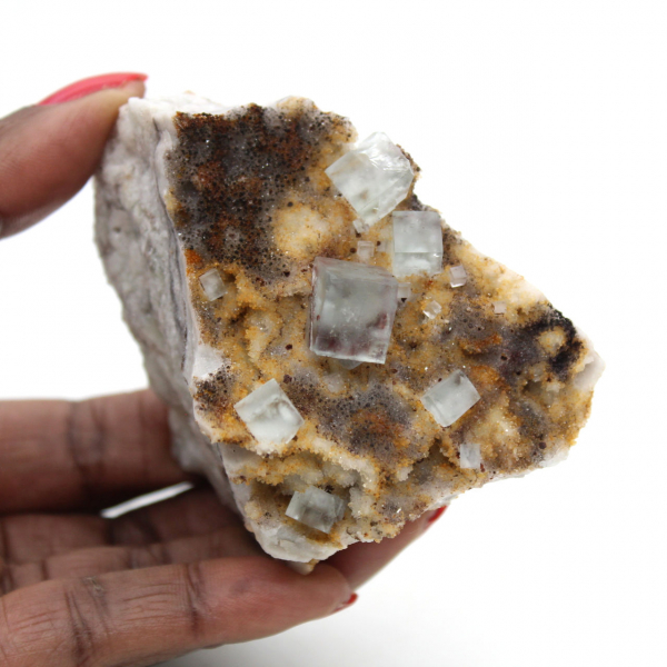 Fluorita verde de colecionador: pequeno exemplar em matriz.