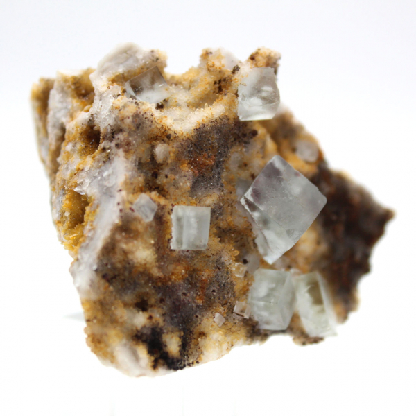 Fluorita verde de colecionador: pequeno exemplar em matriz.