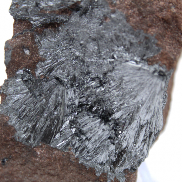 Pequenos cristais de pirolusita em matriz autêntica