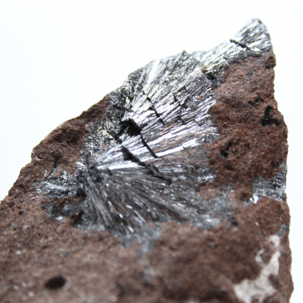 Pirolusita, uma rocha de colecionador com belas cristalizações.