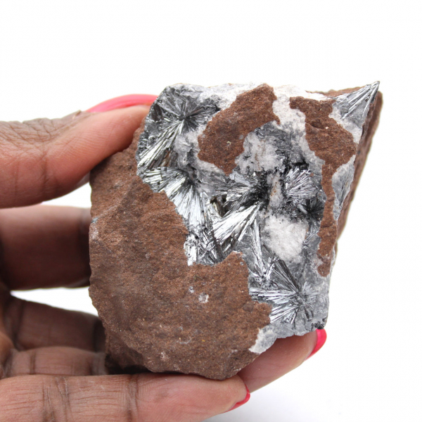 Pirolusita, espécime mineralógico com matriz