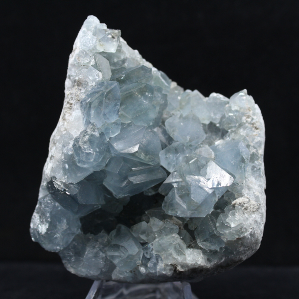 Drusa Celestina Grande de Madagascar