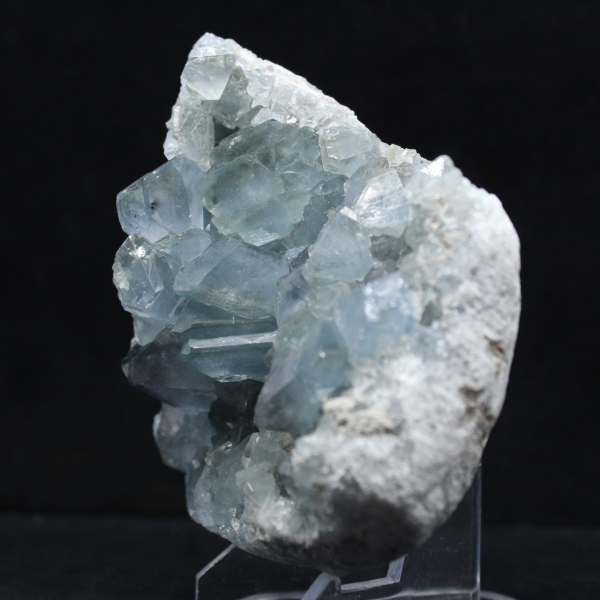 Drusa Celestina Grande de Madagascar