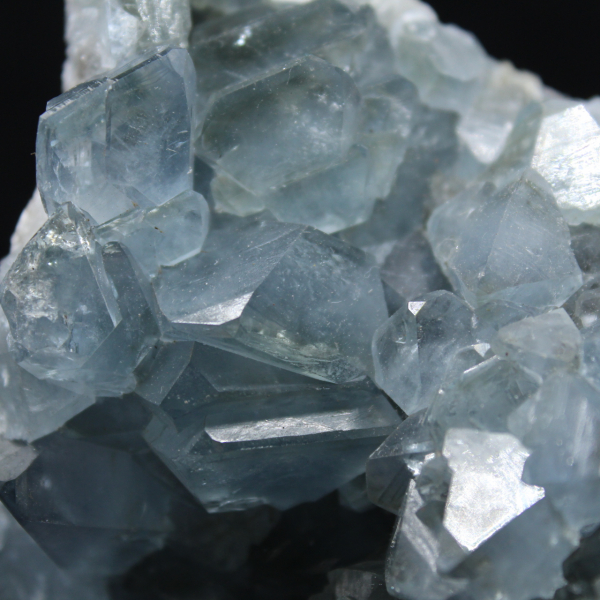 Drusa Celestina Grande de Madagascar