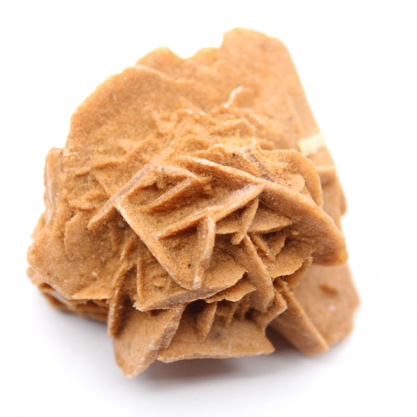 Cristais de rosa do deserto marroquina para coleções mineralógicas.