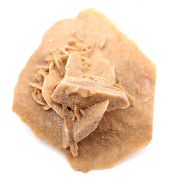 Pequena Rosa do Deserto de Marrocos: fragmento geológico natural