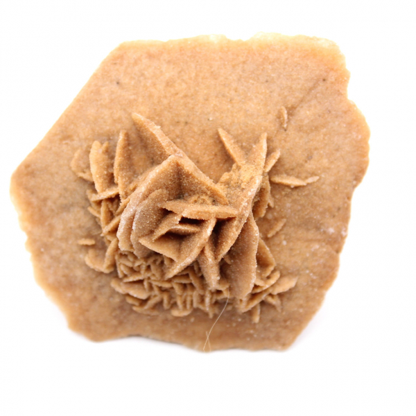 Roseta de gesso de Marrocos: cristal natural do Saara