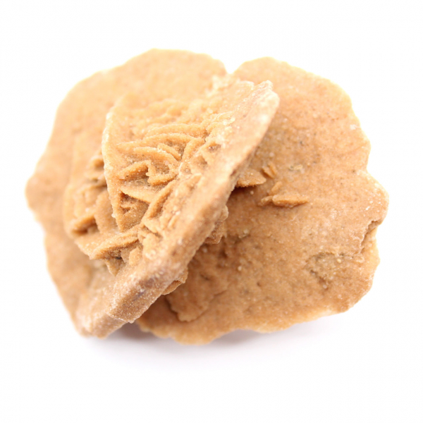 Rosa do deserto marroquino: um buquê cristalino de gesso.