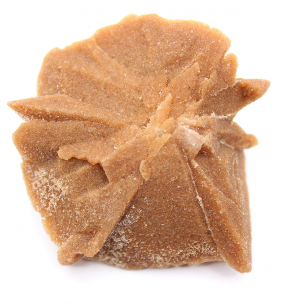 Pequeno fragmento de Rosa do Deserto: um mineral de Marrocos.