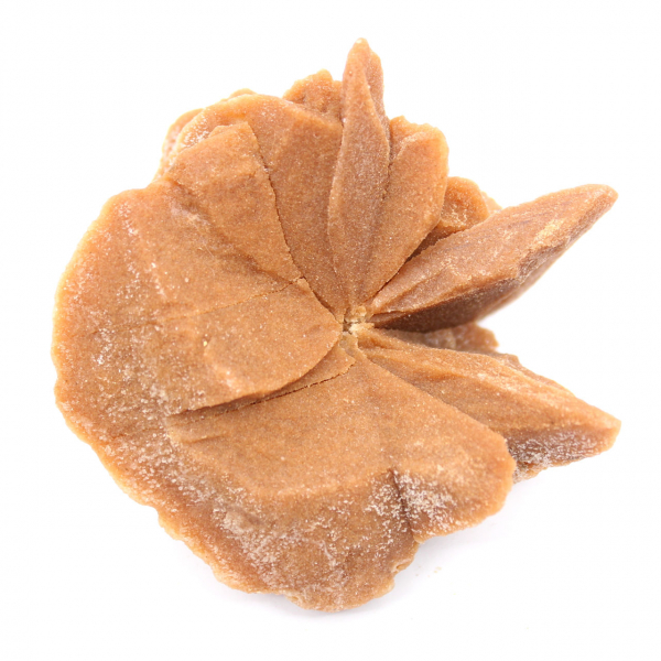 Pequena Rosa do Deserto de Marrocos: fragmento geológico natural