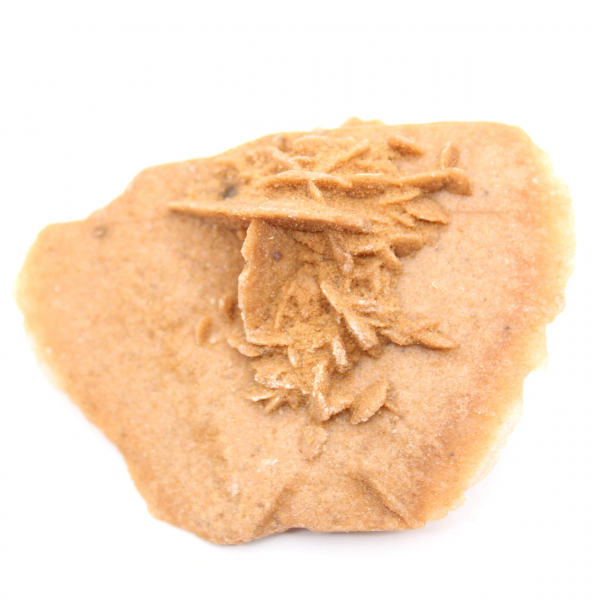 Rosa do Deserto Marroquina Clara: cristalização fina