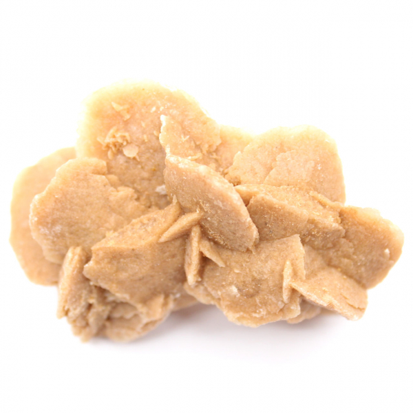 Espécime de gesso cristalizado: Rosa do deserto de Marrocos