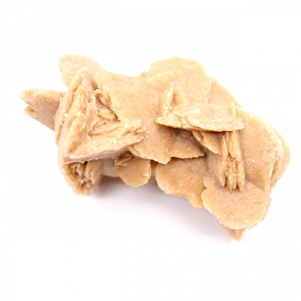 Espécime de gesso cristalizado: Rosa do deserto de Marrocos