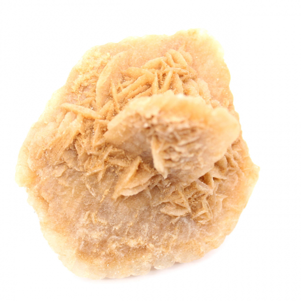 Rosa do deserto marroquino: roseta maciça de colecionador