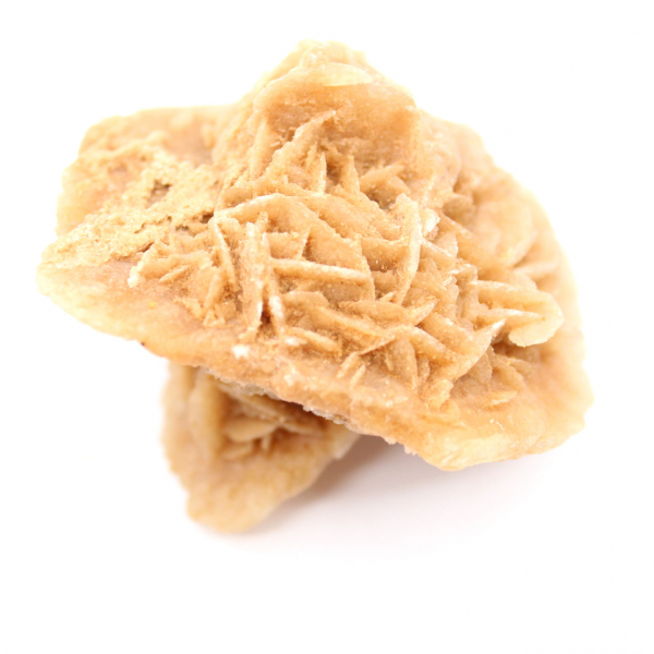 Rosa do deserto marroquino: roseta maciça de colecionador