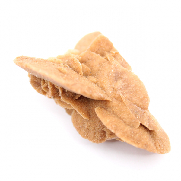 Pequena Rosa do Deserto Marroquina: o brilho do gesso natural