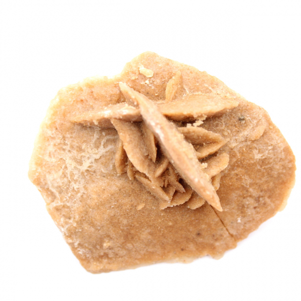 Roseta mineral de Marrocos: cristalização do gesso