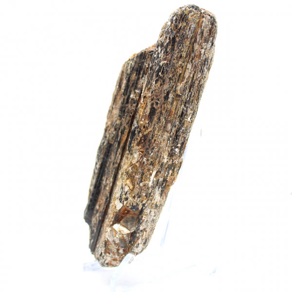 Turmalina Negra de Madagascar - Espécime para Estudo