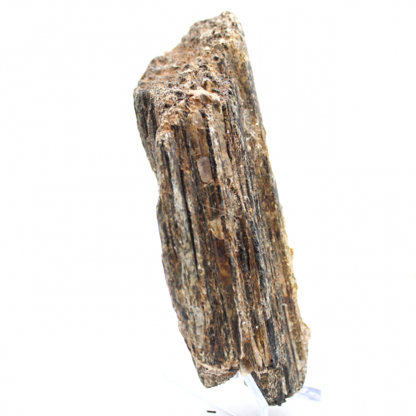 Turmalina Negra de Madagascar - Espécime para Estudo