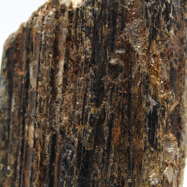 Turmalina Negra de Madagascar - Espécime para Estudo