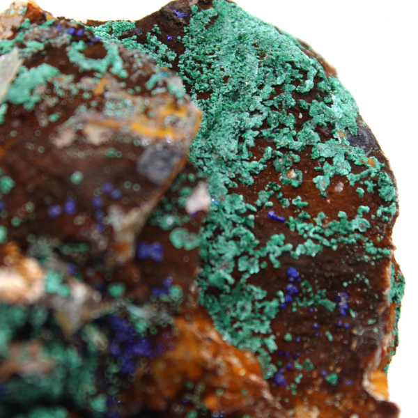 Duo de azurita e malaquita em matriz