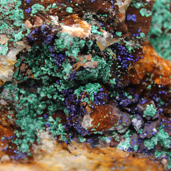 Duo de azurita e malaquita em matriz