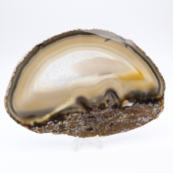 Item de colecionador: Ágata polida