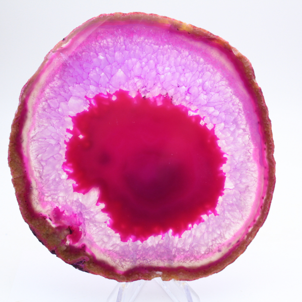 Fatia de ágata tingida de rosa para coleção