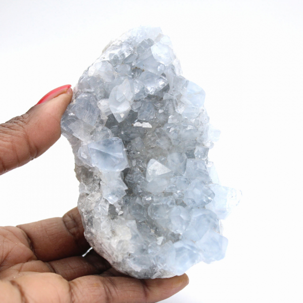 Drusa de Celestita Natural - Cristal de Colecionador