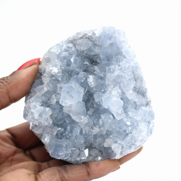 Celestina de Madagascar: Drusa e aglomerado de cristais