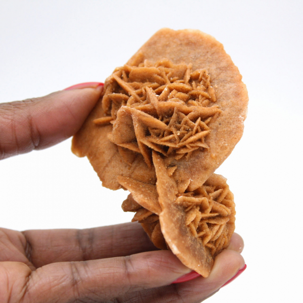 Rosa do deserto de Marrocos: um exemplar de cristalização natural.