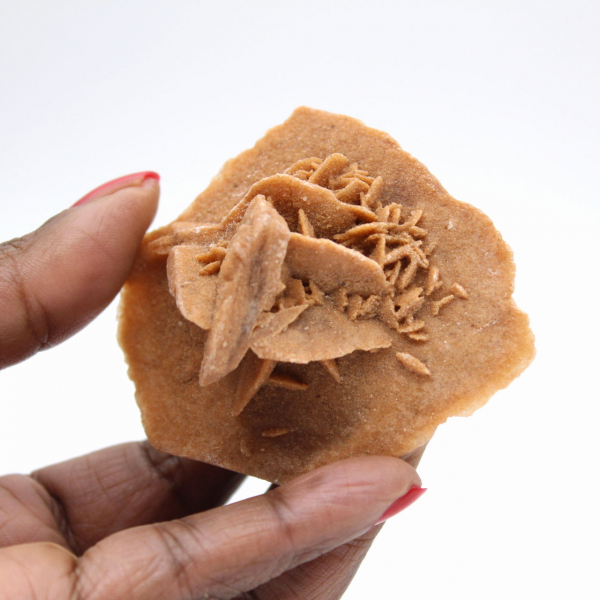 Roseta de gesso de Marrocos: cristal natural do Saara