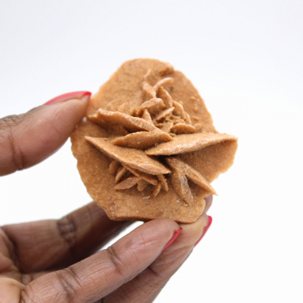 Rosa do deserto marroquina: pequena peça bruta de colecionador