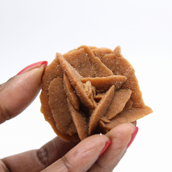 Pequeno fragmento de Rosa do Deserto: um mineral de Marrocos.