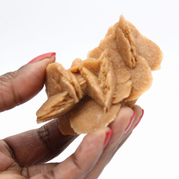 Espécime de gesso cristalizado: Rosa do deserto de Marrocos