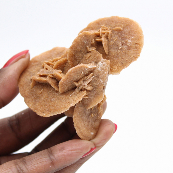 Pequena Rosa do Deserto Marroquina: o brilho do gesso natural