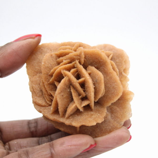 Rosa do deserto marroquino: buquê de gesso natural